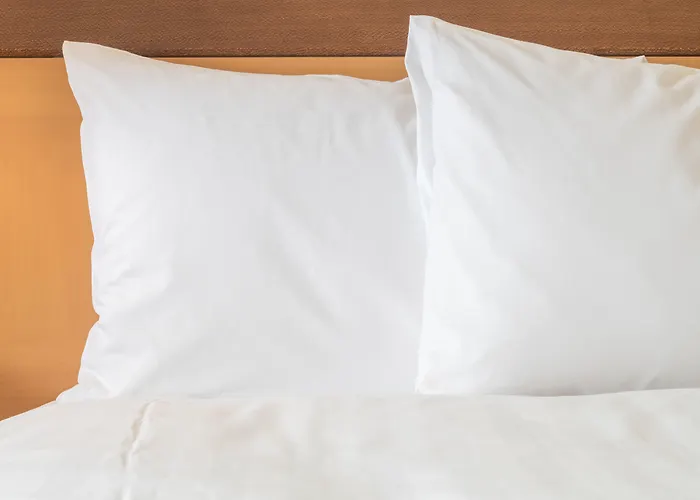 Holiday Inn San Francisco - Golden Gateway Newly Renovated With No Resort FeeAlbergo